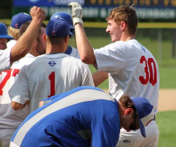 Giefer lifts Cubs to 4th straight state appearance